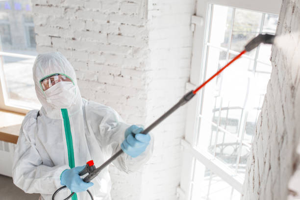 Best Asbestos and Lead Testing During Mold Inspection  in Elgin, MN