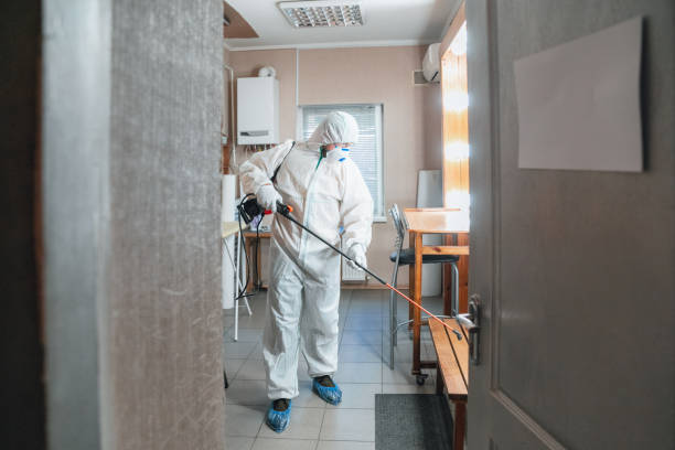 Best Mold Damage Restoration  in Elgin, MN
