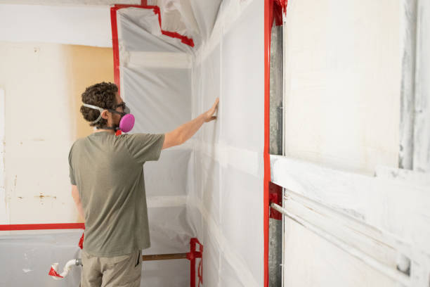 Best Mold Prevention Services  in Elgin, MN