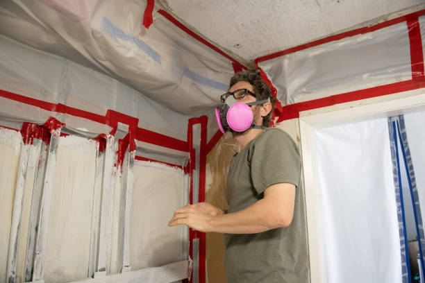 Best Mold Odor Removal Services  in Elgin, MN