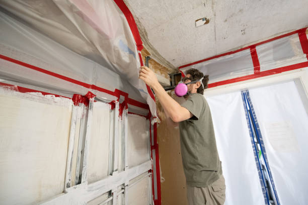 Best Residential Mold Inspection & Testing  in Elgin, MN