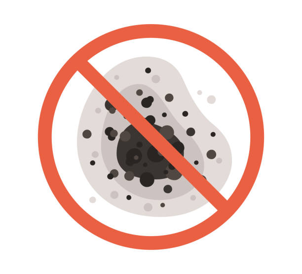 Best Emergency Mold Remediation  in Elgin, MN