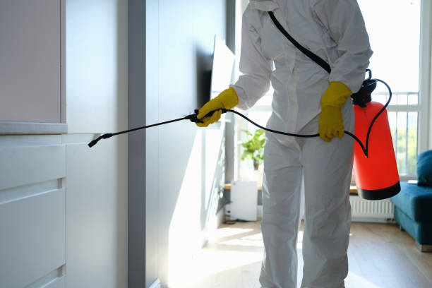 Best Mold Remediation for Healthcare Facilities  in Elgin, MN