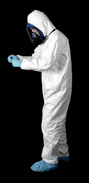  Elgin, MN Mold Removal Pros