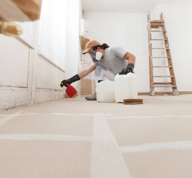 Best Environmental Consulting for Mold Prevention  in Elgin, MN