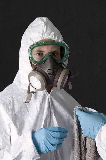 Best Post-Remediation Verification Testing  in Elgin, MN